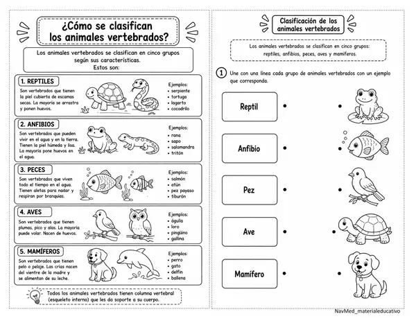 Animales vertebrados e invertebrados 2° básico