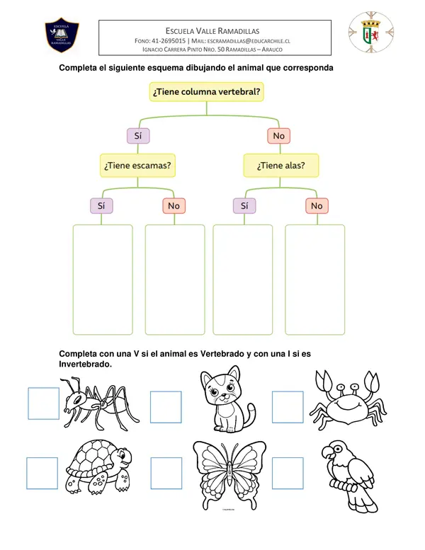 Guía vertebrados e invertebrados 2do Básico Ciencias Naturales
