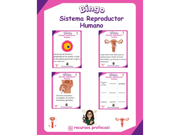 BINGO SISTEMA REPRODUCTOR 