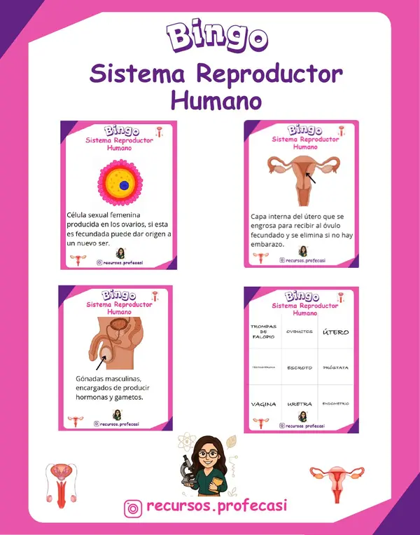BINGO SISTEMA REPRODUCTOR 