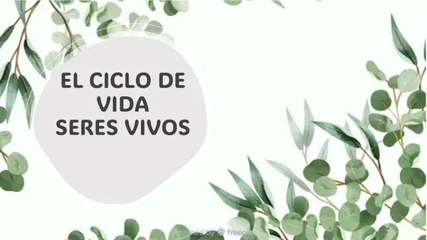 CICLO DE VIDA 