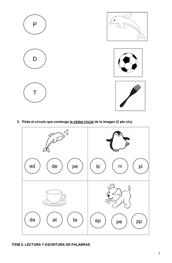 Evaluación DPT