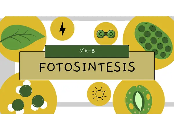 Fotosíntesis