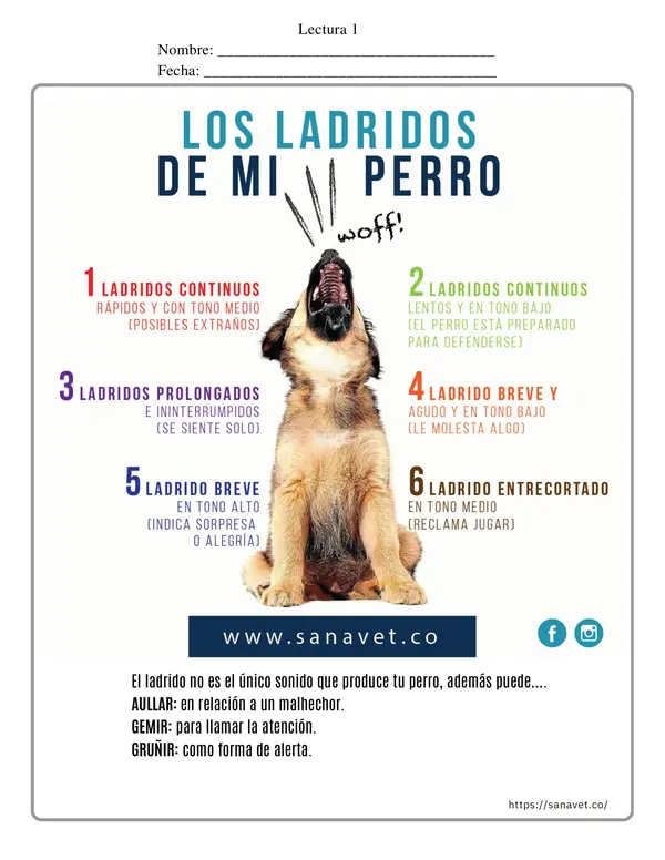 54 LECTURAS DIARIAS TIPO SIMCE - 4TO BÁSICO - Con solucionario.