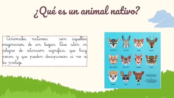 Animales nativos de Chile y su protección