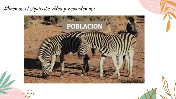 La vida en los ecosistemas 4° básico