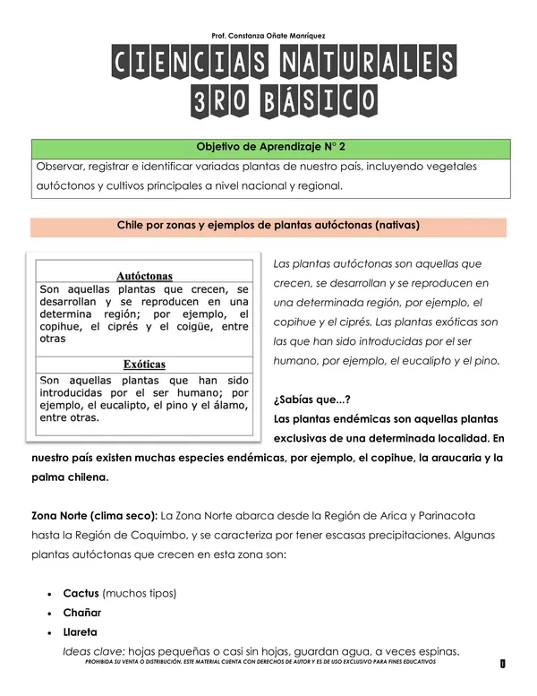 Resumen ciencias naturales 3 Básico