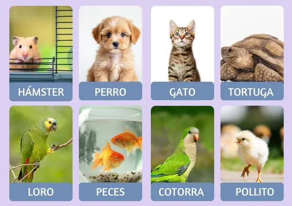 ANIMALES