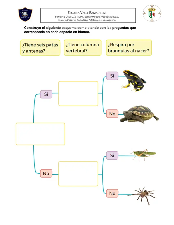 Guía vertebrados e invertebrados 2do Básico Ciencias Naturales