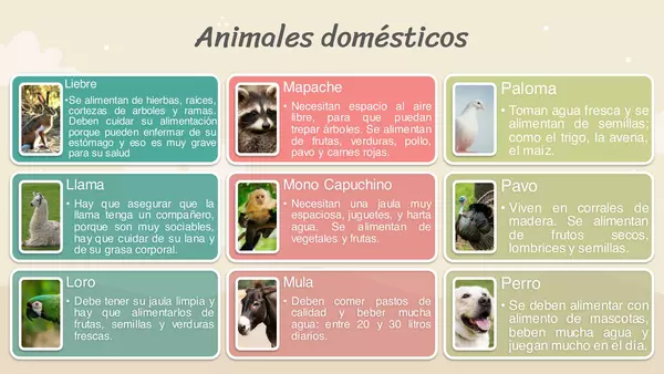 Animales Salvajes y Domésticos