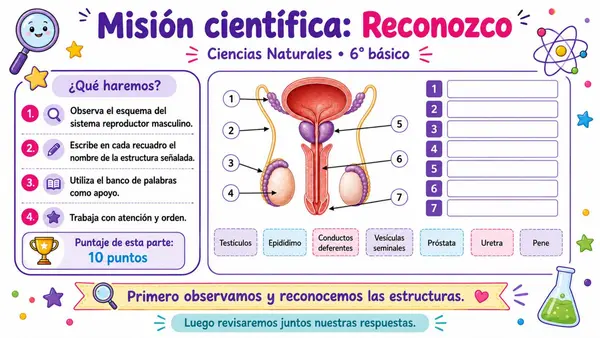 Sistema Reproductor Femenino