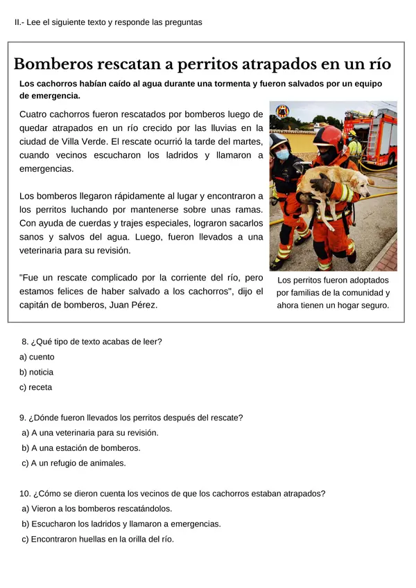 Comprensión lectora 3, SIMCE