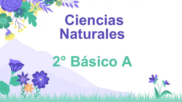 Modelo simple del proceso de la respiración 2° Básico