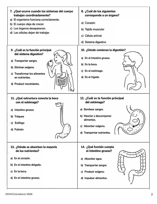 Evaluación Sistemas del Cuerpo Humano | Ciencias 5° Básico Unidad 2