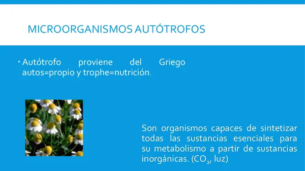 METABOLISMO MICROBIABO 