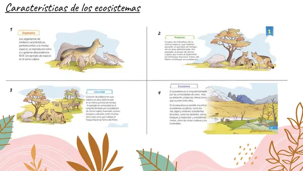 La vida en los ecosistemas 4° básico