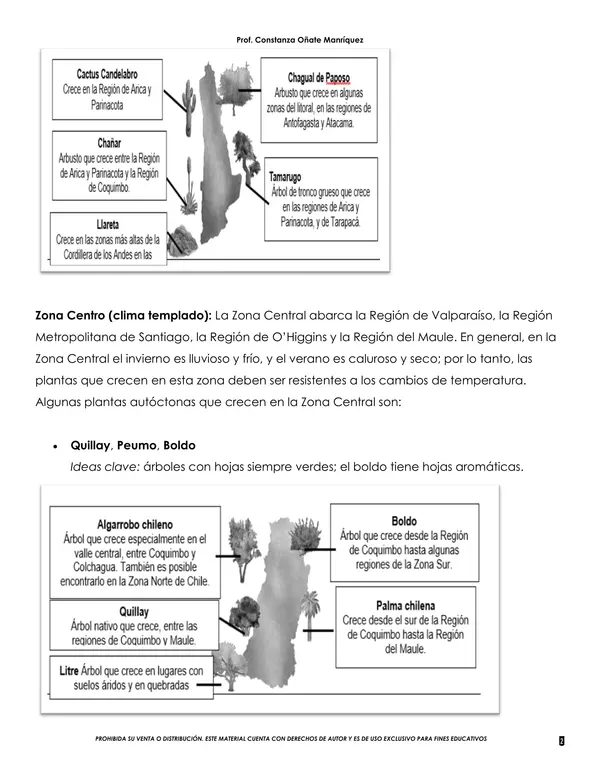 Resumen ciencias naturales 3 Básico