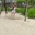 Beatriz Lugo - @beatriz.lugo1