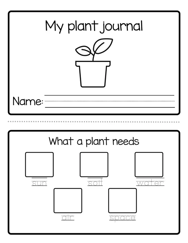 My plant journal (Registro de crecimiento de una planta)