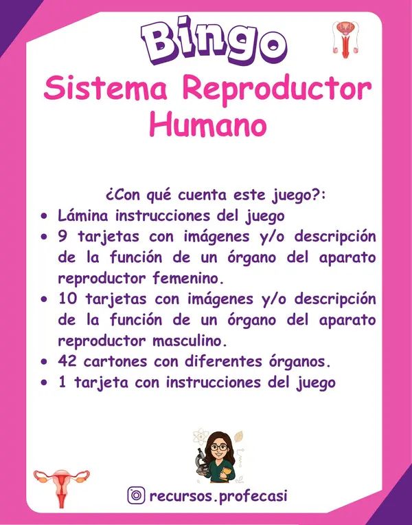 BINGO SISTEMA REPRODUCTOR 