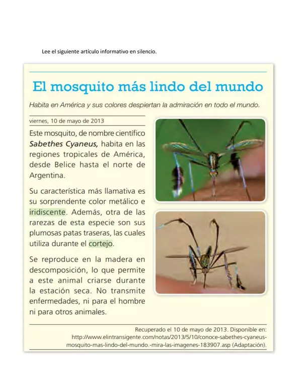 Guia el mosquito mas lindo del mundo, segundo basico, lenguaje
