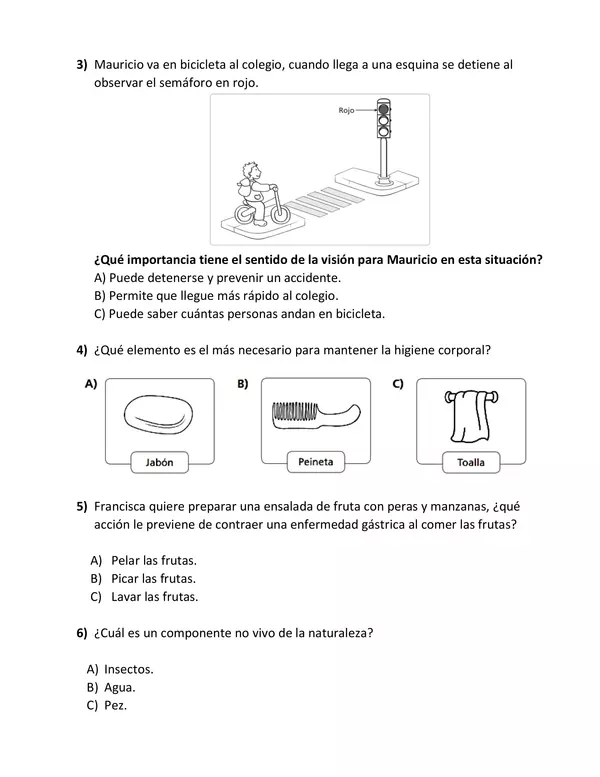 Prueba de diagnóstico 2° básico Ciencias Naturales 