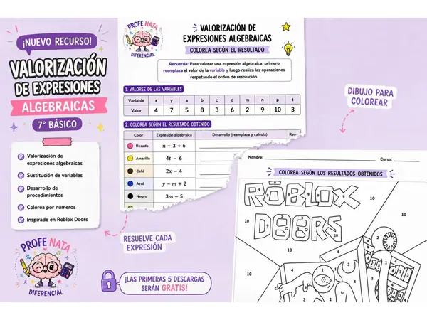 Colorea por números: Valorización de expresiones algebraicas | 7° Básico