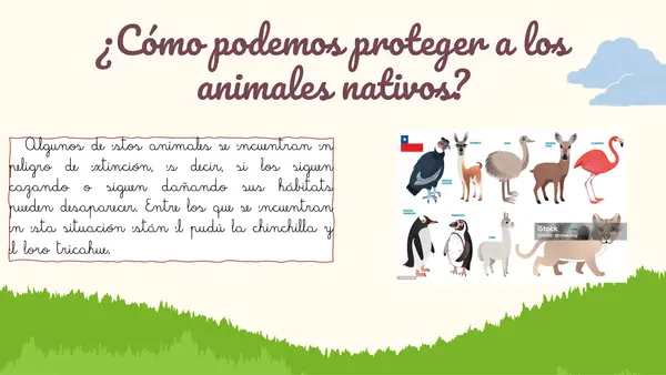 Animales nativos de Chile y su protección