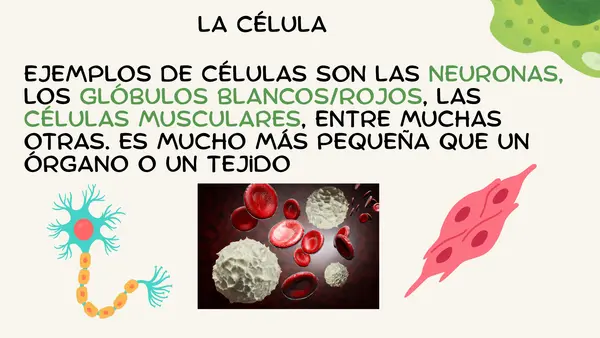 Enseñar ciencias naturales desde lo mínimo " niveles de organización"