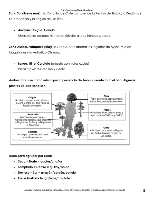 Resumen ciencias naturales 3 Básico