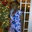 Elaine Antoine - @elaine.antoine