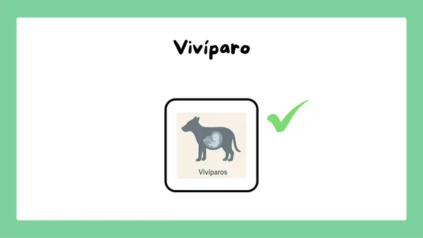 ppt Animales