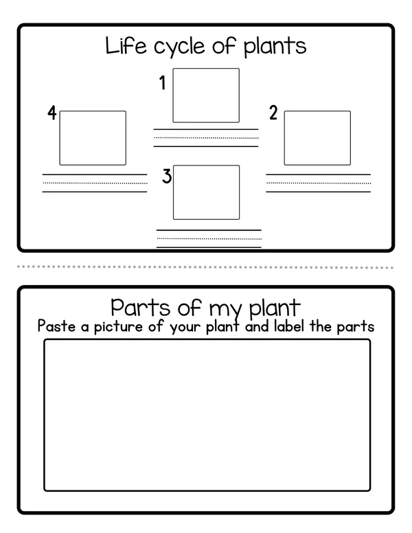My plant journal (Registro de crecimiento de una planta)