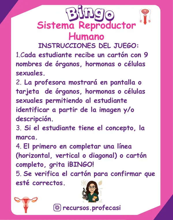 BINGO SISTEMA REPRODUCTOR 