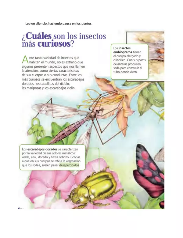 Guia el mosquito mas lindo del mundo, segundo basico, lenguaje