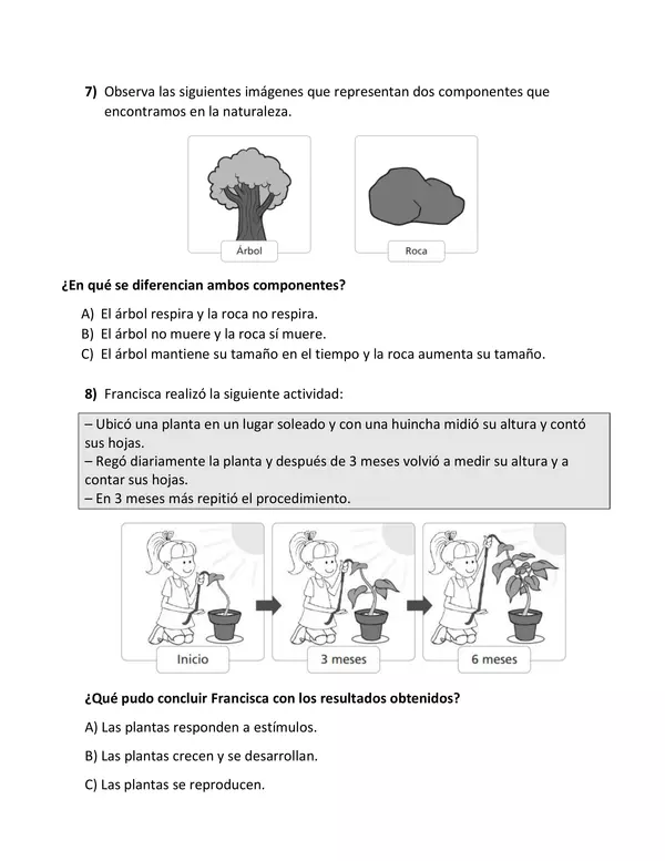 Prueba de diagnóstico 2° básico Ciencias Naturales 