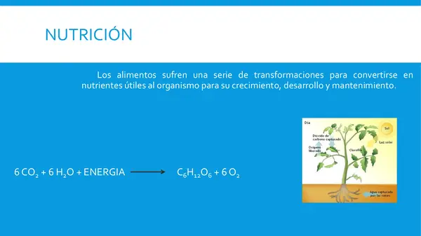METABOLISMO MICROBIABO 