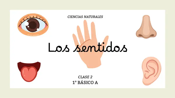 "LOS SENTIDOS" 