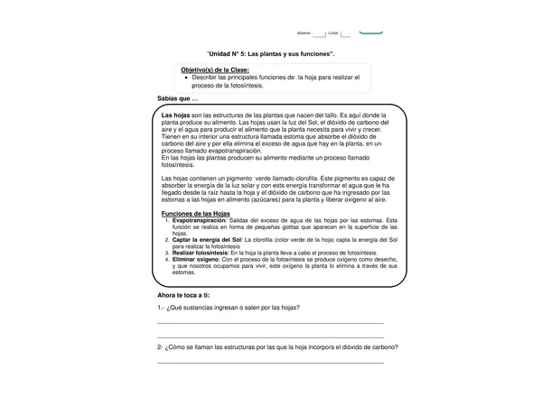 Guia de Ciencias Naturales para 3 Basico: Describir las principales funciones de  la hoja para