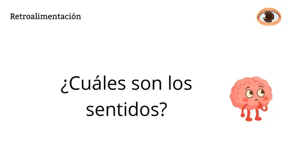 "LOS SENTIDOS" 