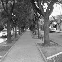 ConistanzaPaz - @conistanzapaz