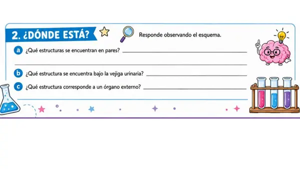 Sistema Reproductor Femenino