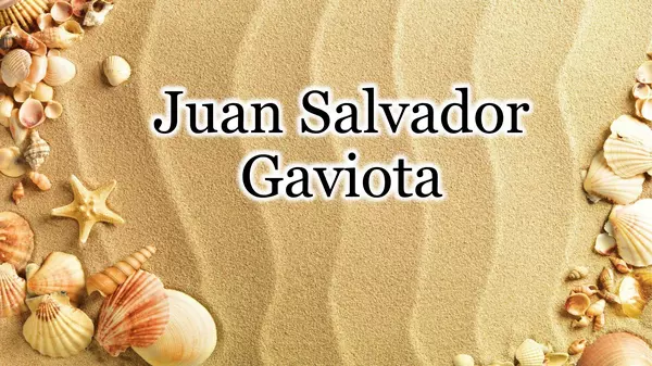 Lectura "Juan Salvador Gaviota"