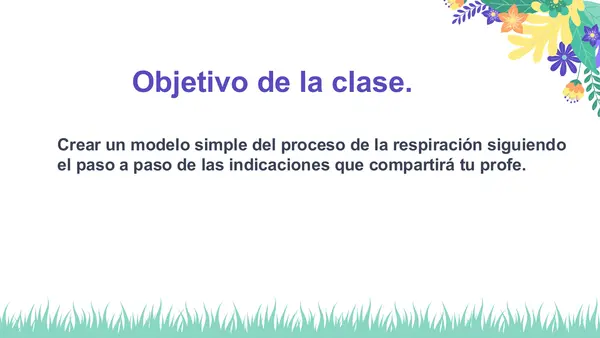 Modelo simple del proceso de la respiración 2° Básico