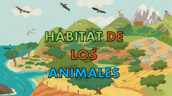 "PPT hábitat de los animales"