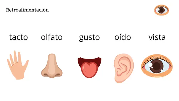 "LOS SENTIDOS" 