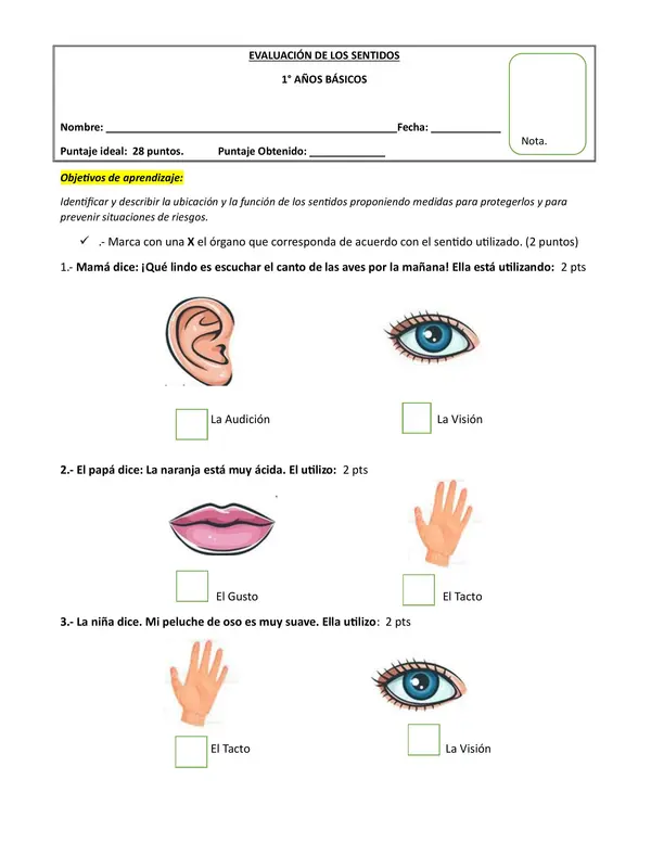 Evaluación  de los sentidos Primero Básico