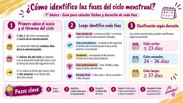 7MO OA 2 - CICLO MENSTRUAL 