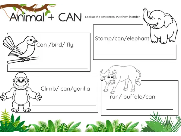 animals + can 