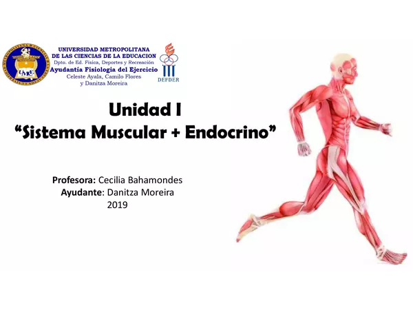 Clase de Musculatura y Endocrino Fisiología del Ejercicio